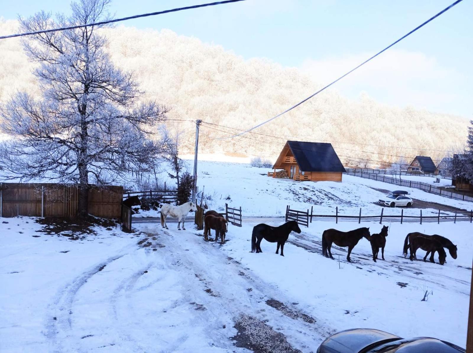 Vikendica Nole Jahorina Villa Pale Exteriör bild